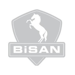 Bisan